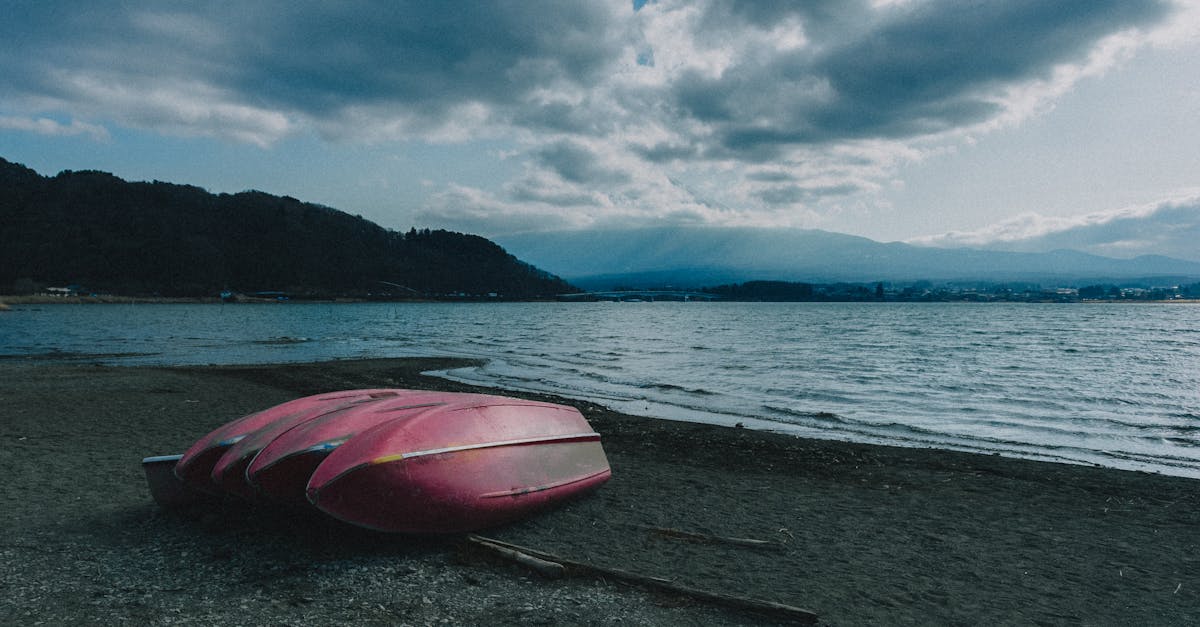 三重与岛根在NY的神秘活动!🇯🇵✨ 三重与岛根在NY的神秘活动!🇯🇵✨