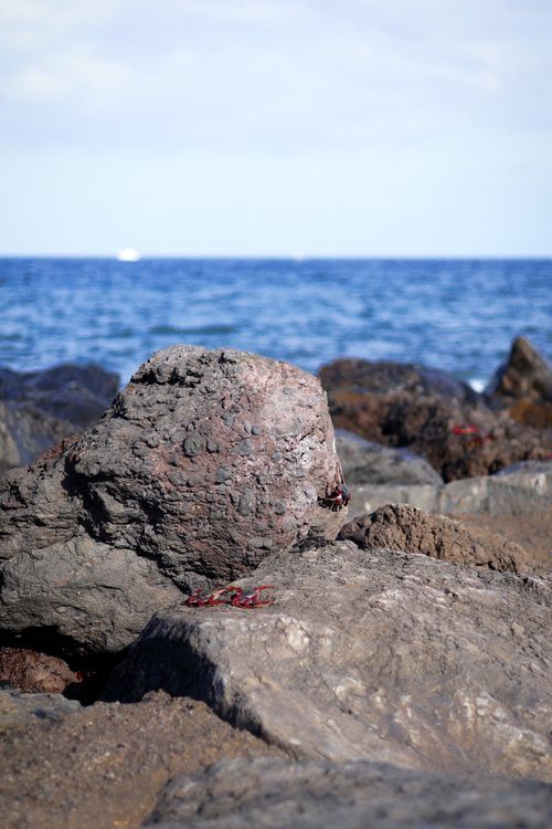 Free Rocky shoreline with a view of the blue ocean under a clear sky. Stock Photo