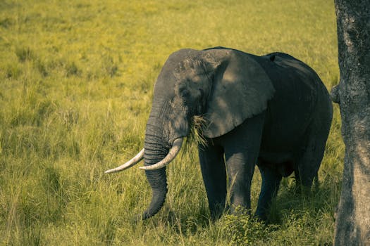 Bye Bye Traditional VC, Hello Equity-for-Services!