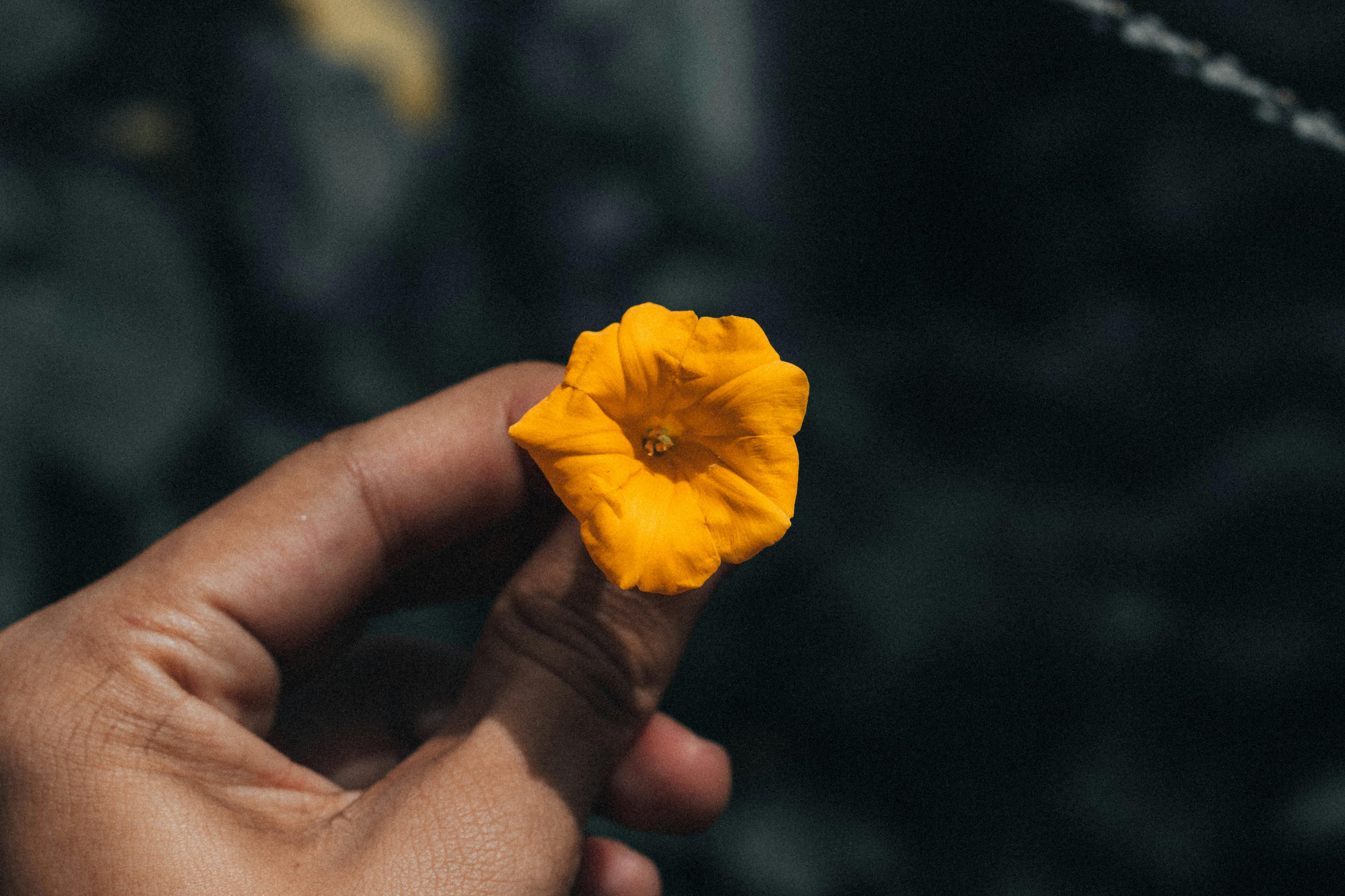 San Francisco de Macorís