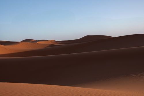 Free Serene desert landscape with golden sand dunes under a clear morning sky. Stock Photo