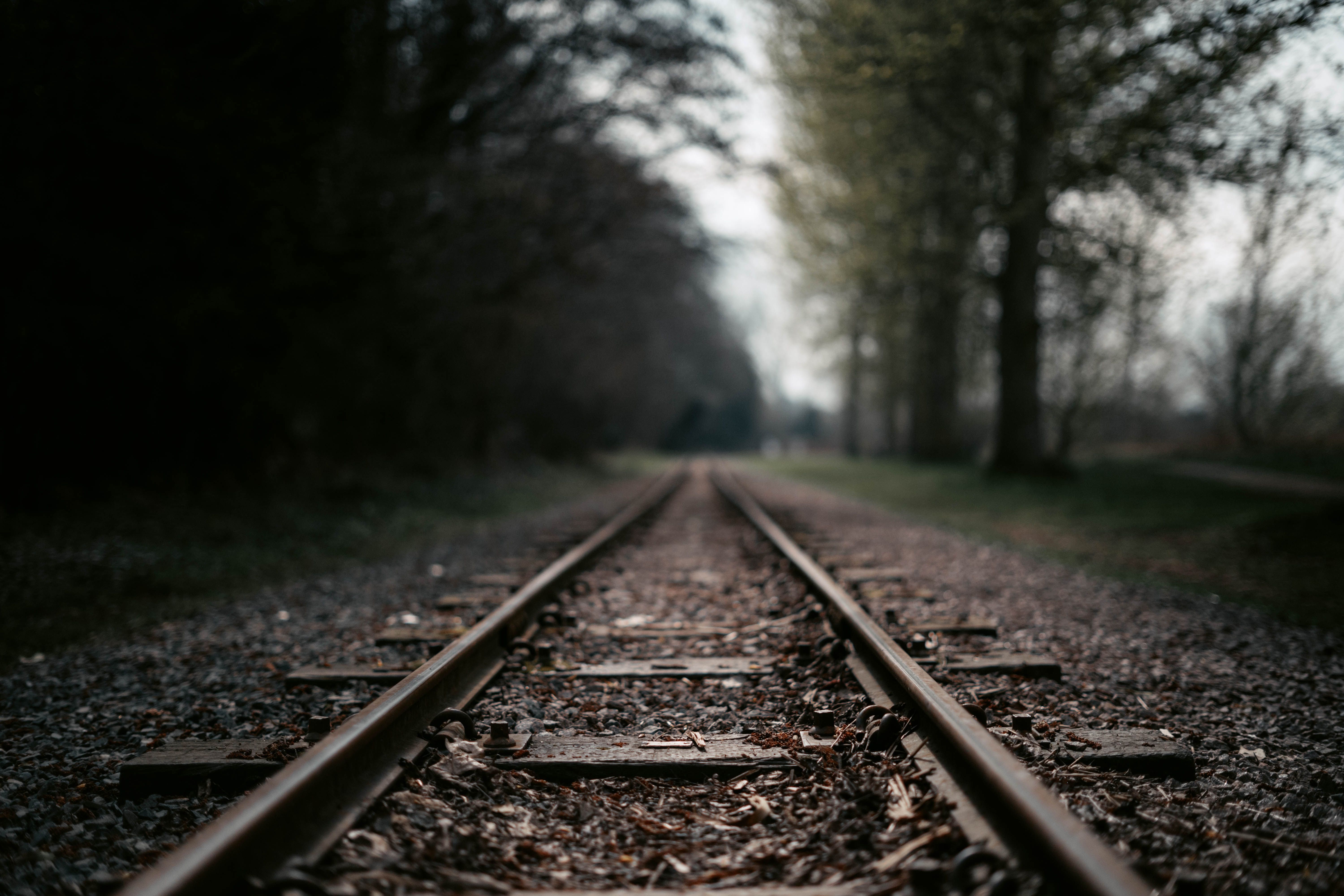 Moody railroad tracks stretching into a forest, ideal for concepts of journey and solitude.