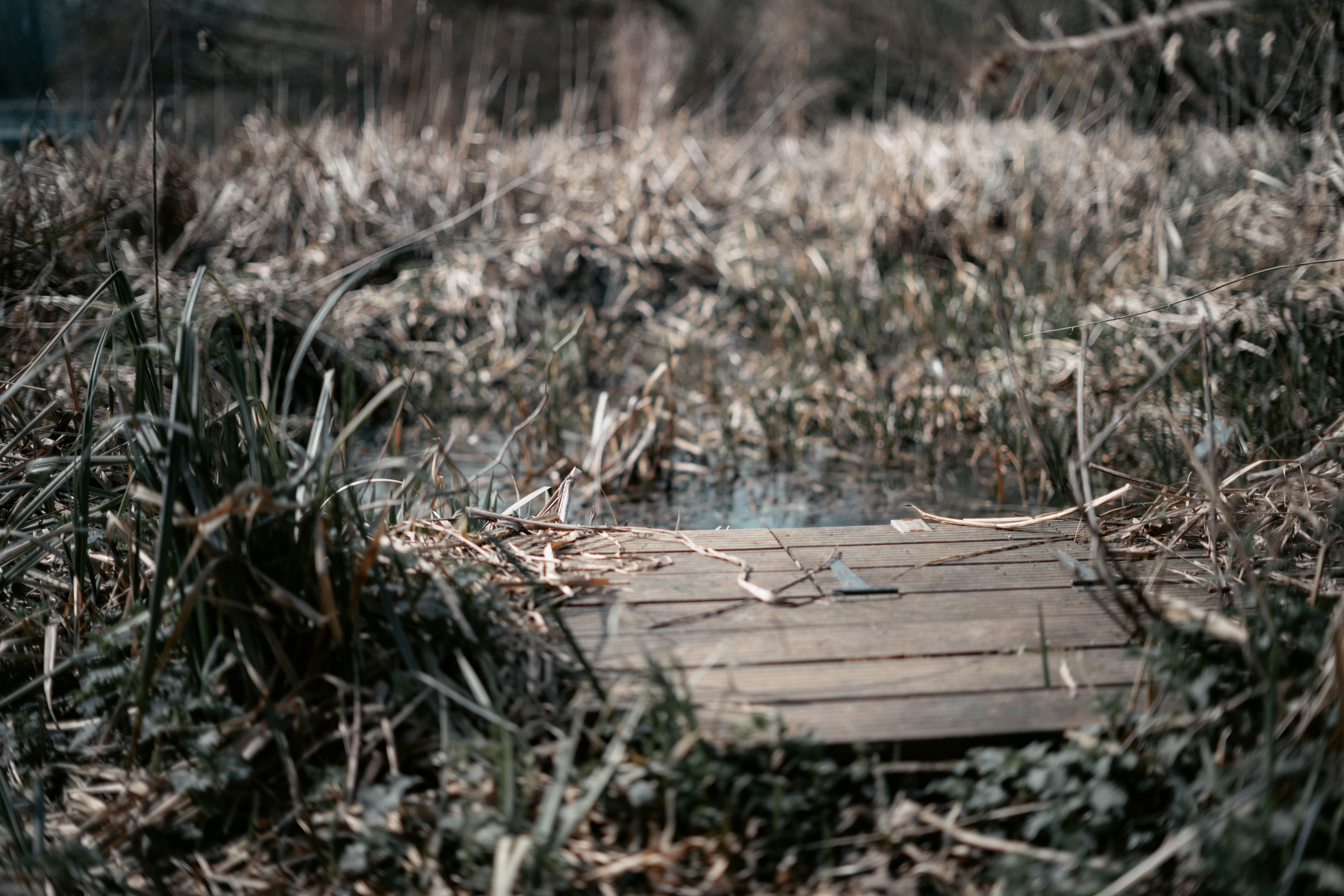 Fence and Decking Painting in Hackney Marshes — a decorator at work mid-project