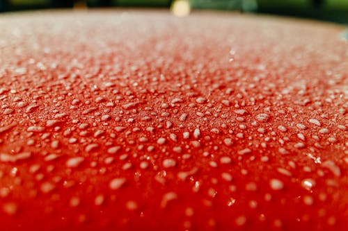 Bellen Op Rood Oppervlak