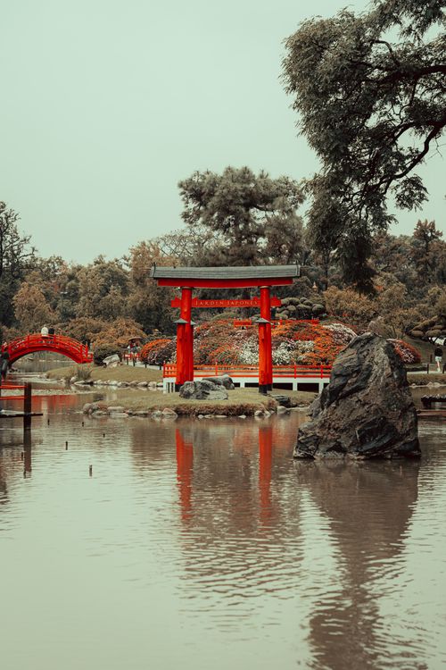 Free Beautiful Japanese garden scene featuring a red torii gate over a tranquil pond. Stock Photo
