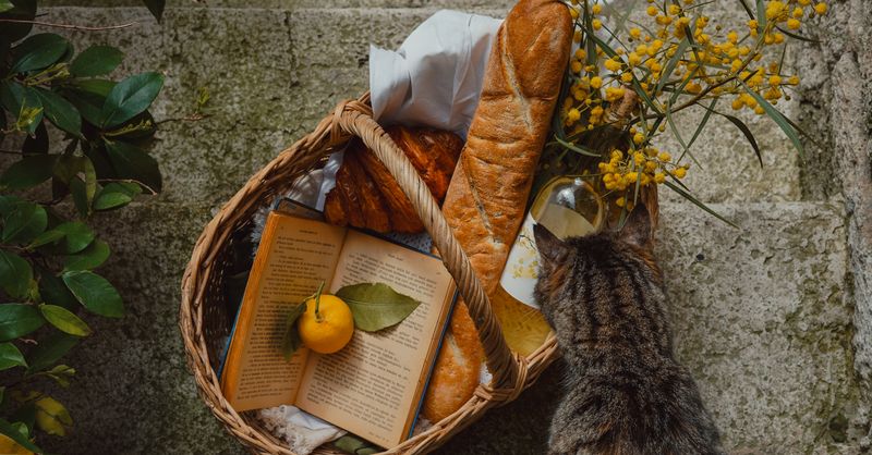 Le Panier Marseille : Guide complet du quartier historique
