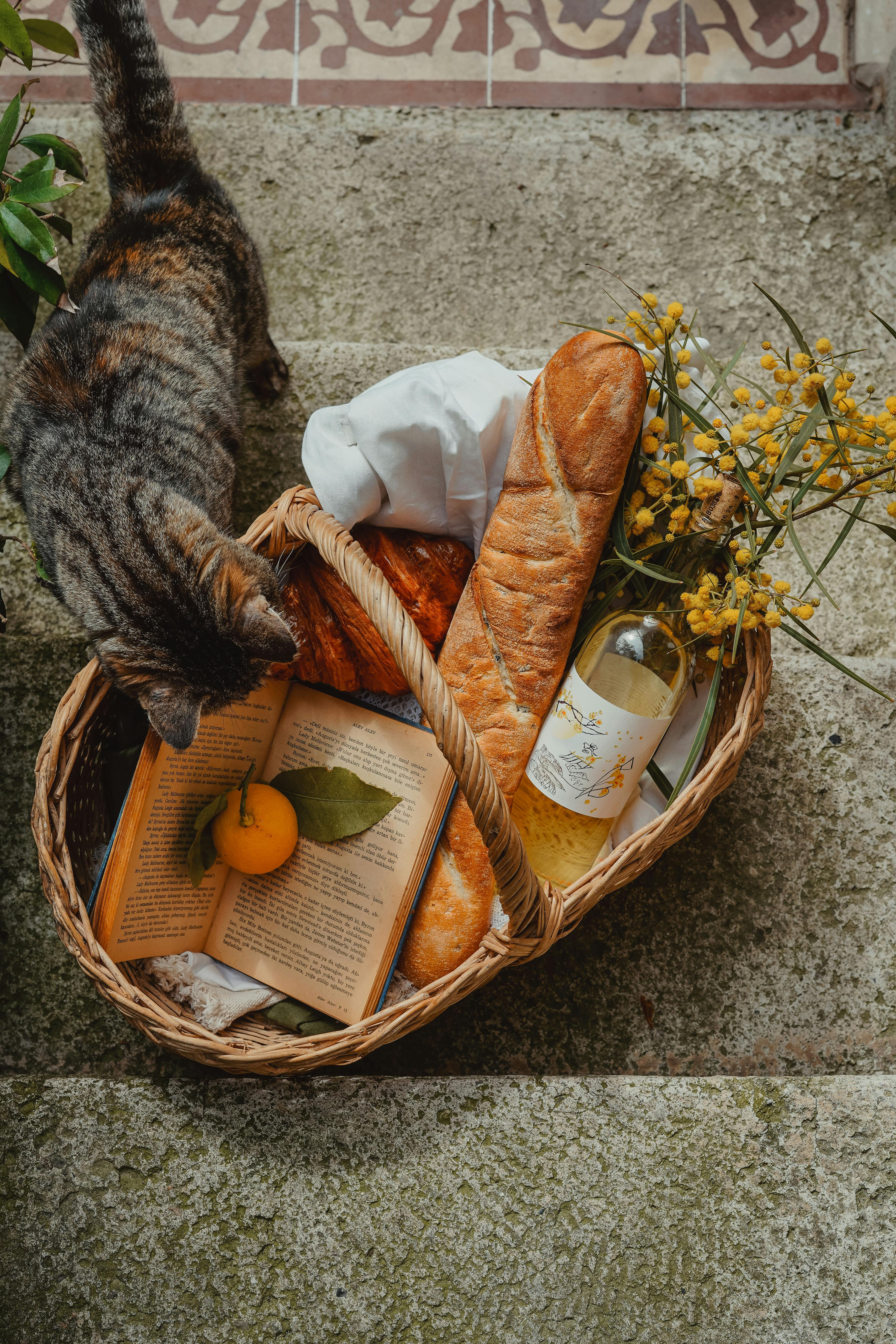 Top view of a picnic basket with bread, wine, and a curious cat.