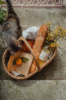 Top view of a picnic basket with bread, wine, and a curious cat.