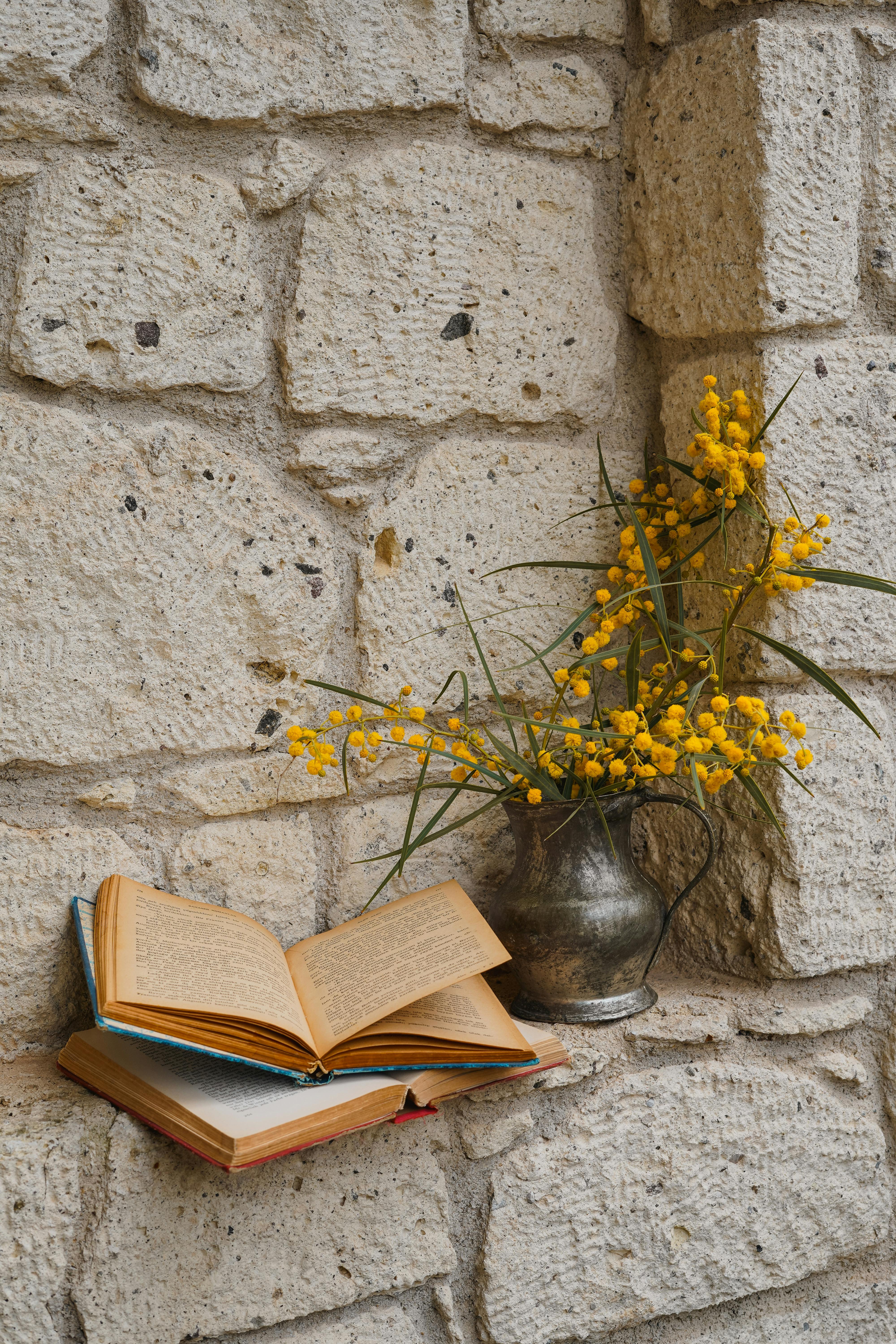 Gratuit O carte deschisă lângă flori de mimoză galbene vibrante pe un zid de piatră. Fotografie de stoc
