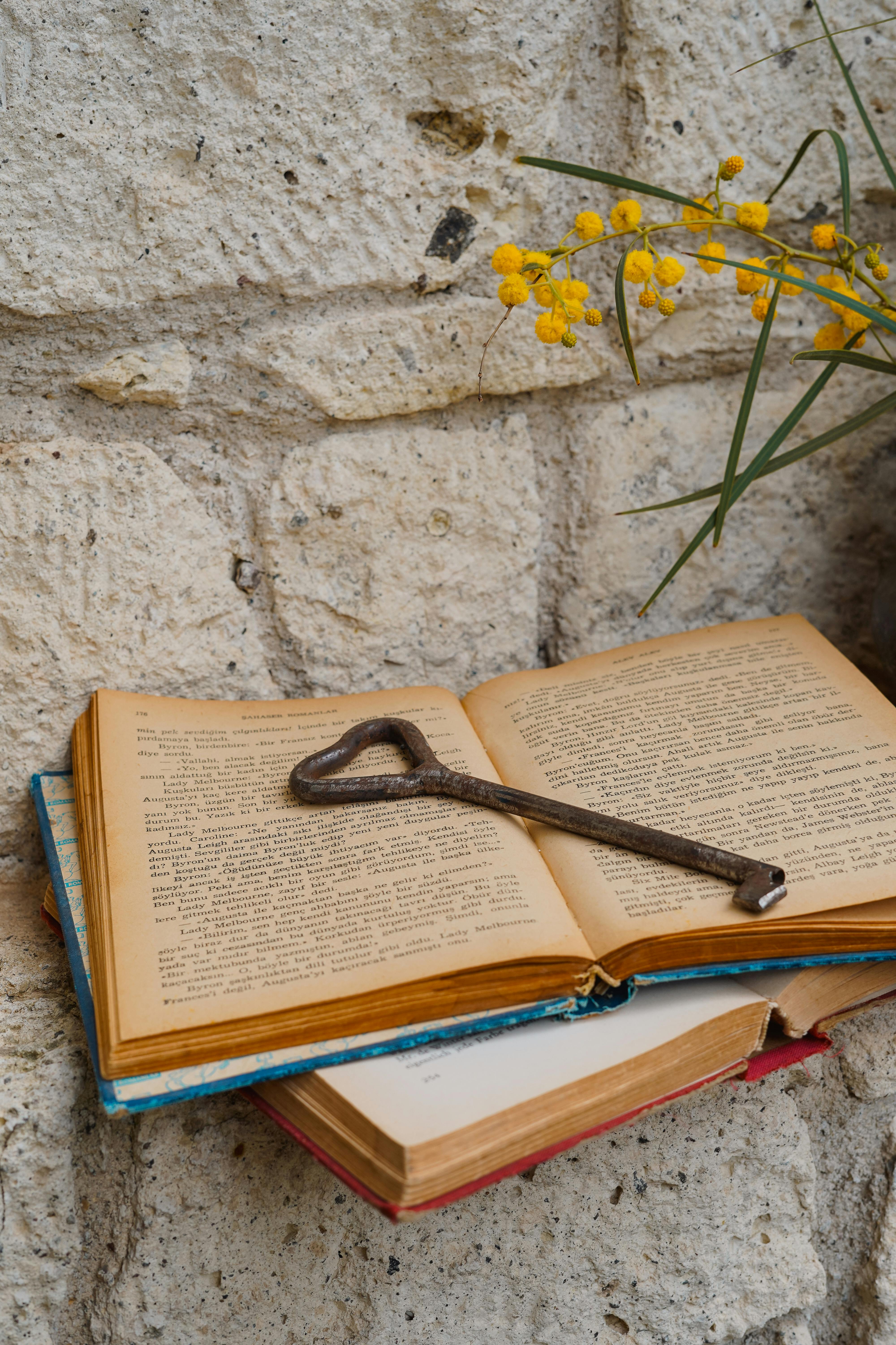 Rustic scene with an antique key on open books and yellow flowers against a stone wall.