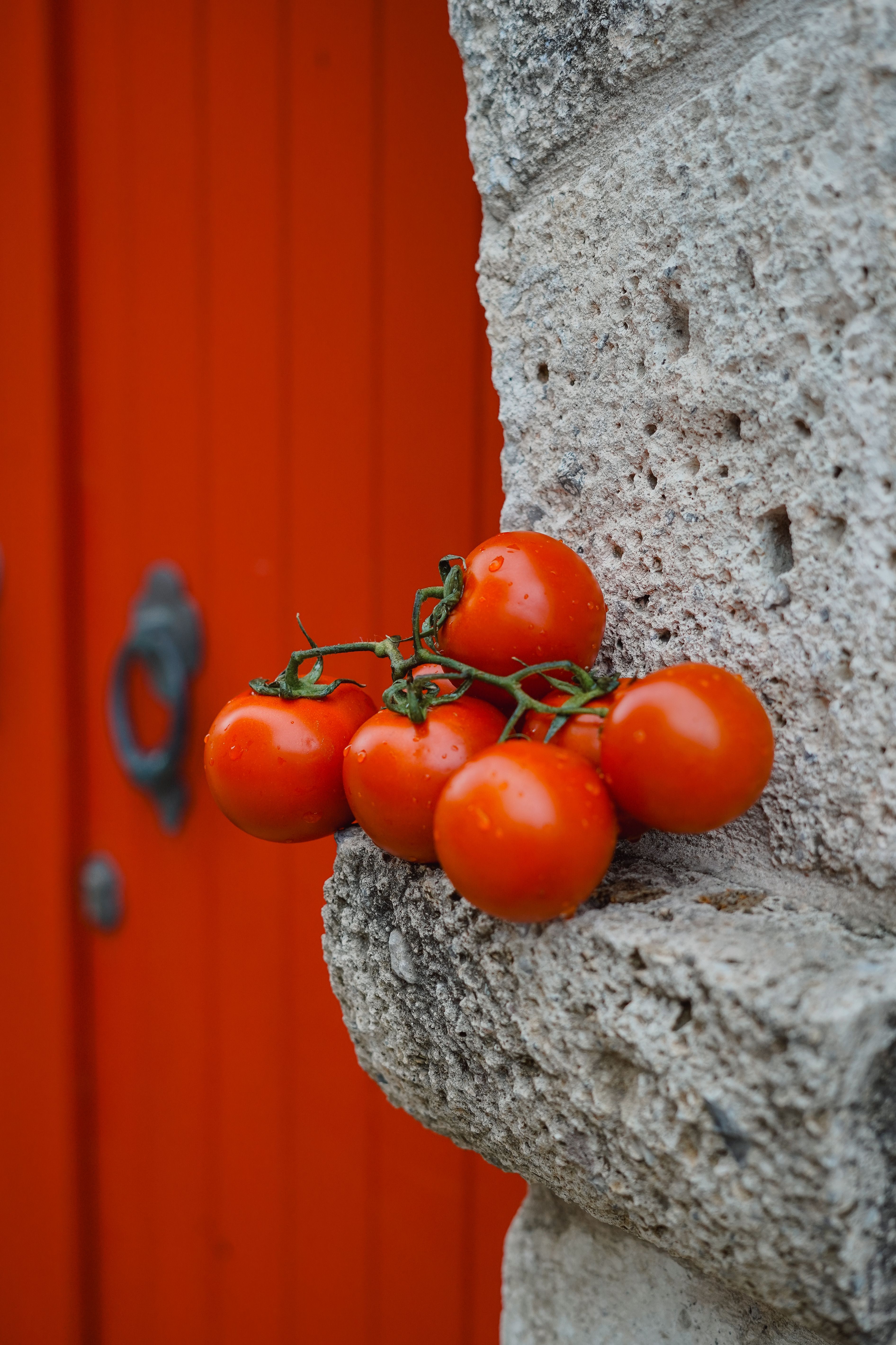 Fresh Red Tomatoes Against Rustic Wall · Free Stock Photo