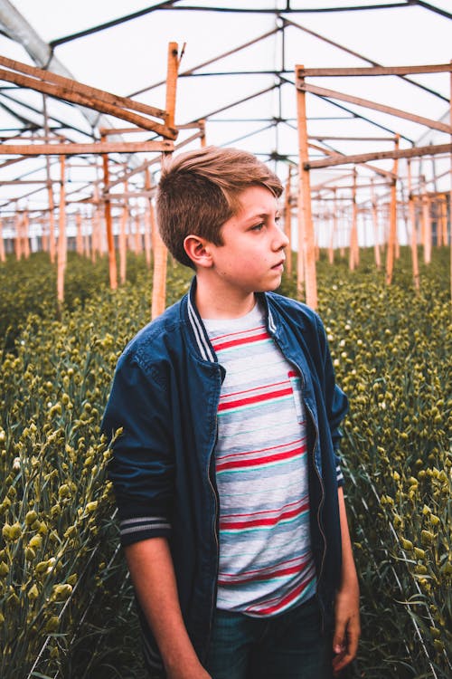 Boy Standing Near Green Leafed Plants