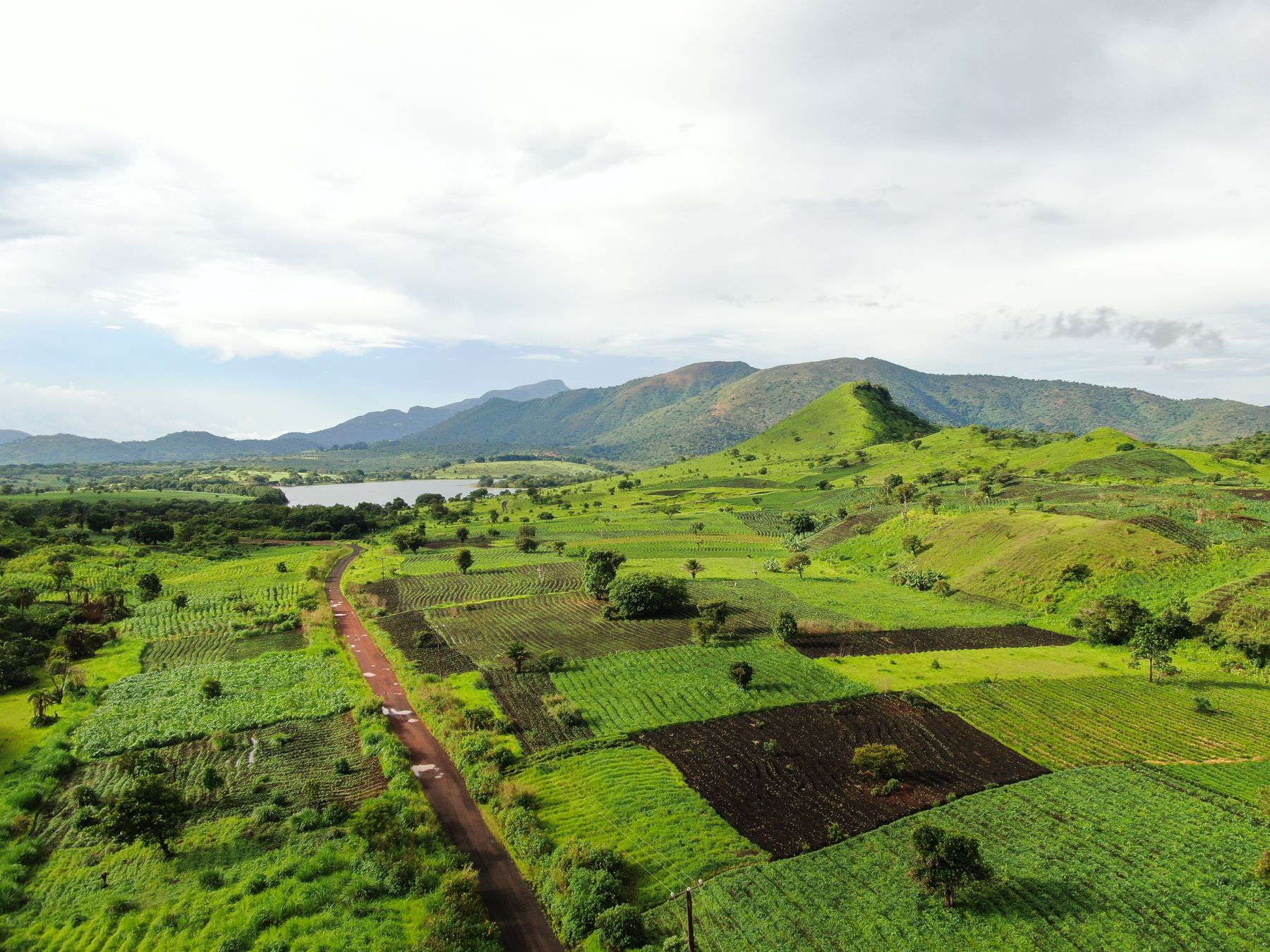 Terres agricoles verdoyantes à Foumbot, Cameroun