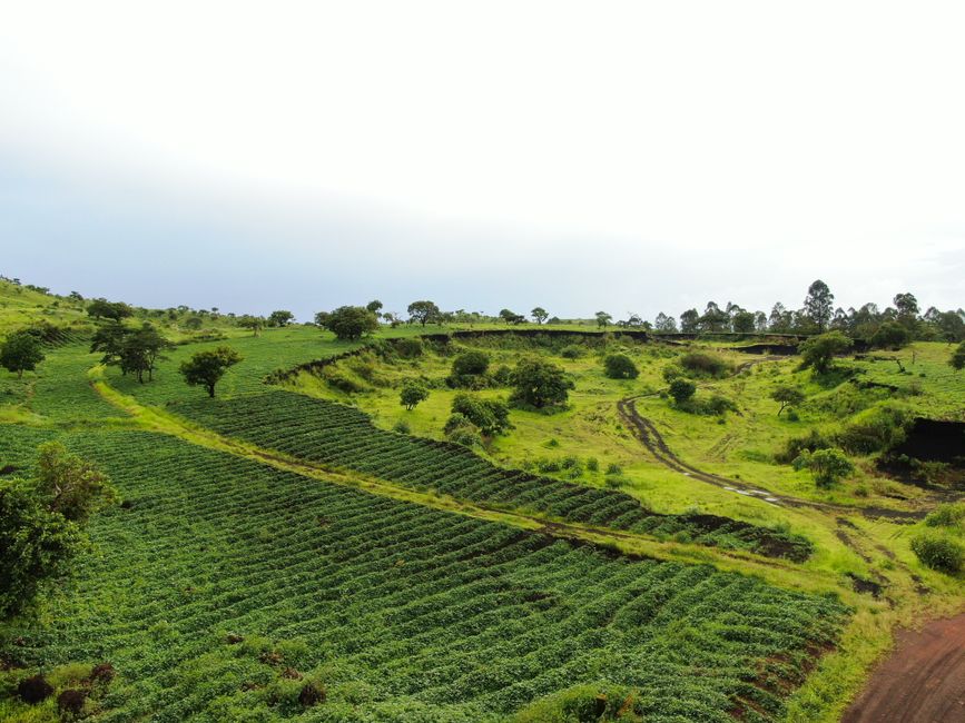 Immigrer en Cameroun après 40 ans : quelles options ?