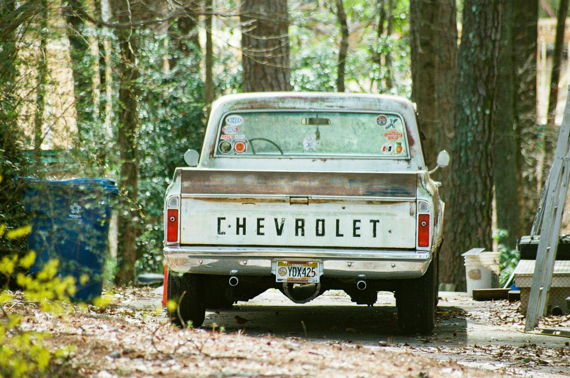 Retro Chevrolet truck parked in wooded area, exuding classic charm.