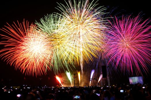 Colorful fireworks explode in the night sky, captivating a crowd of onlookers.