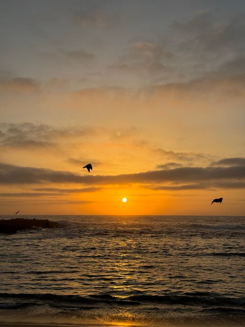 Free Dramatic sunset over the ocean with birds flying in a picturesque and serene setting. Stock Photo