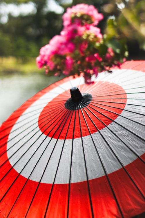 Free Bright red and white Japanese paper umbrella with pink flowers in a serene outdoor setting. Stock Photo