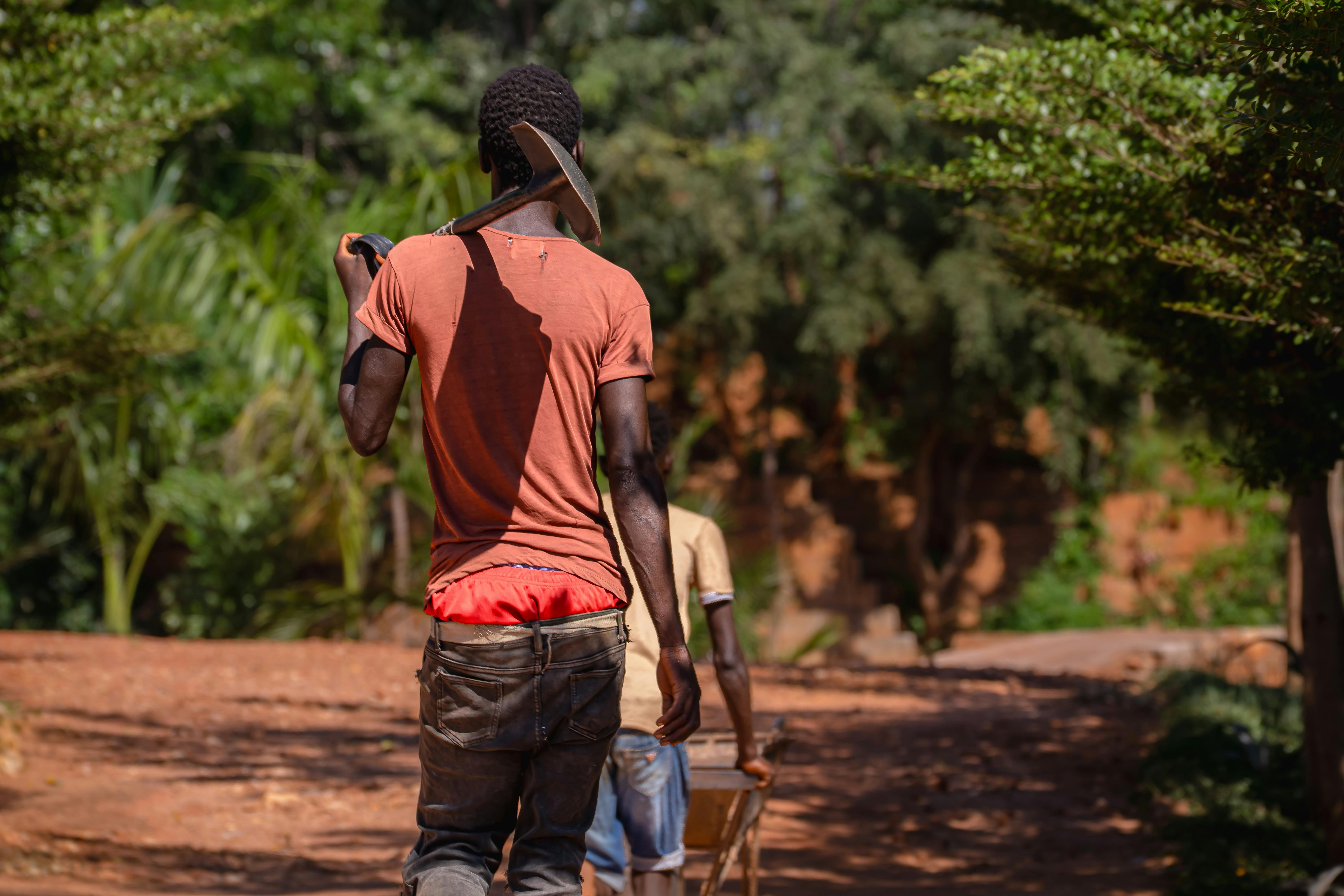 Ivory Coast: Government launches cocoa buyback scheme