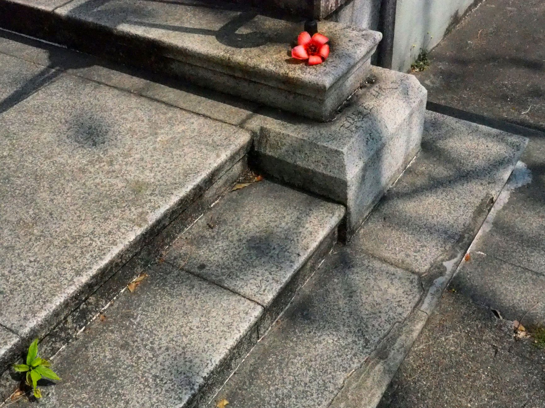 Urban stone steps with graffiti and scattered fruit reflecting the vibrant street culture of Hong Kong.
