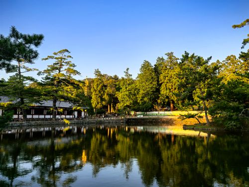 Free Serene lake with lush trees reflected under clear blue sky at sunset. Stock Photo