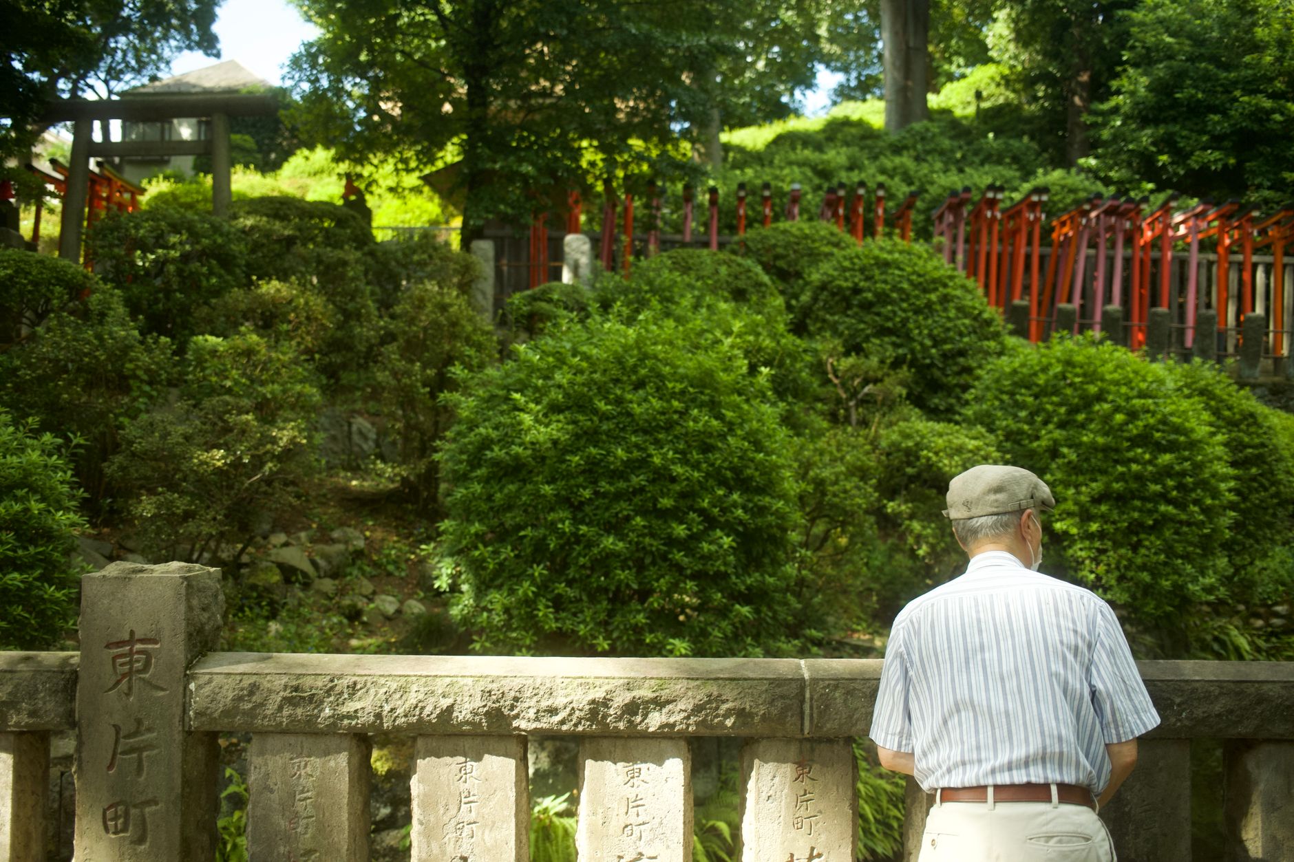 東京神社庭園散步的長輩