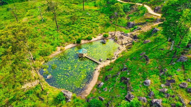 A vibrant aerial view of a green landscape with a small tranquil pond in Sri Lanka.