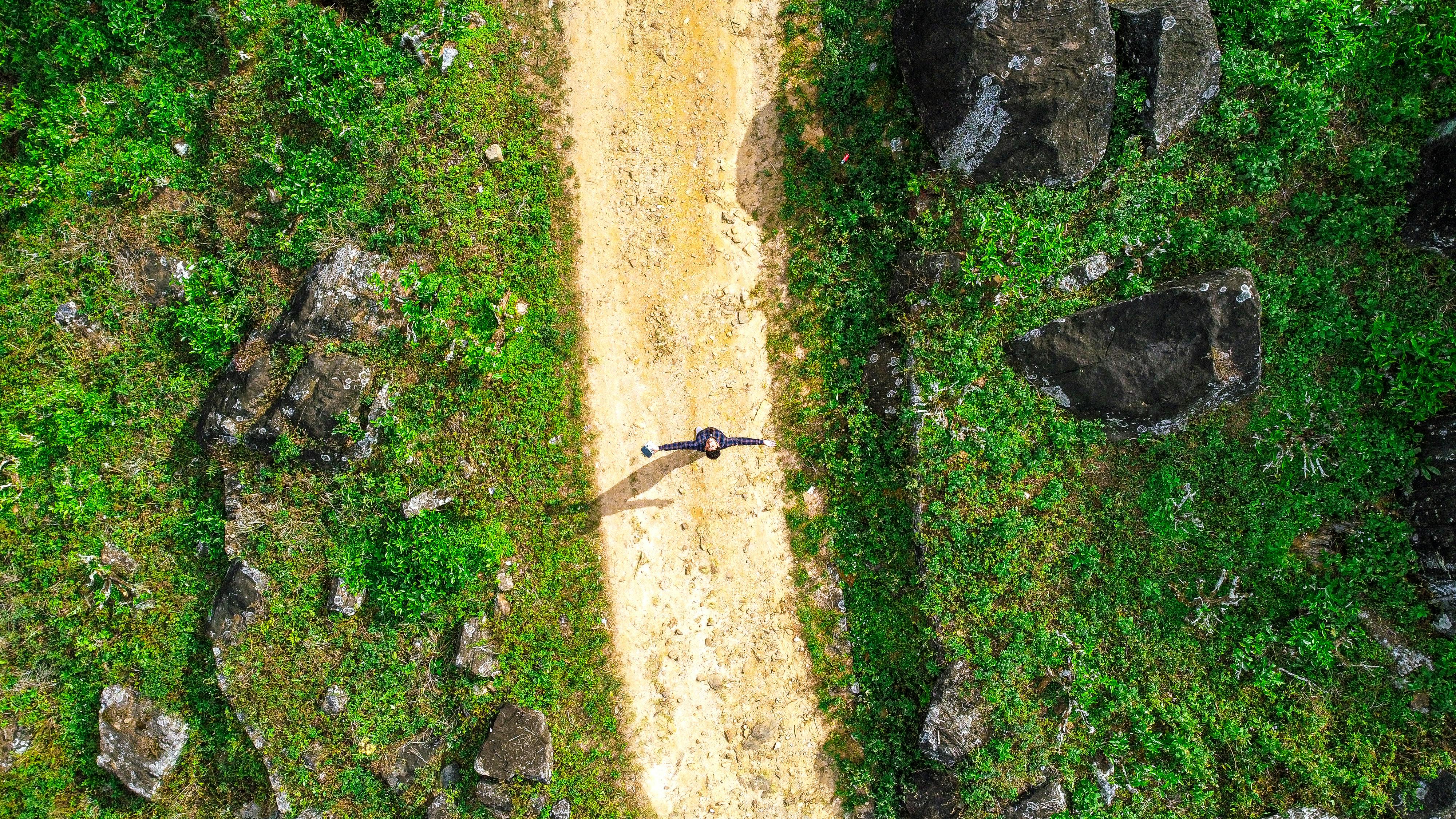 Healthspan White Paper: The Data-Driven Path to Longevity — Photo by Dtravel vlog on Pexels