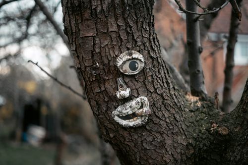 Free A tree with a whimsical face in an autumn forest creates a playful and artistic scene. Stock Photo