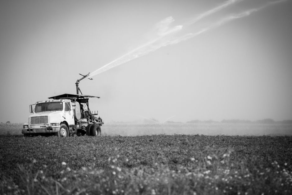 Rising Gas Prices Squeeze Florida Farmers and Ranchers: A Growing Concern