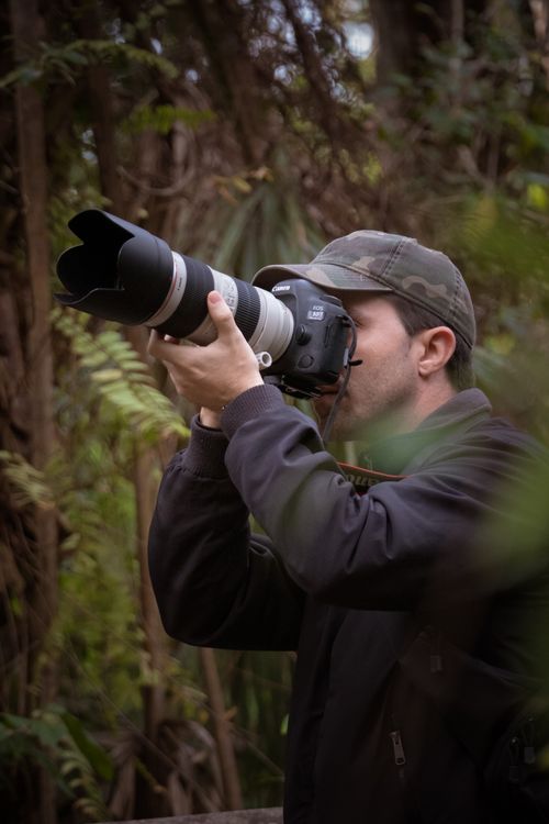 Free Photographer with a telephoto lens in a forest, capturing wildlife shots in nature. Stock Photo