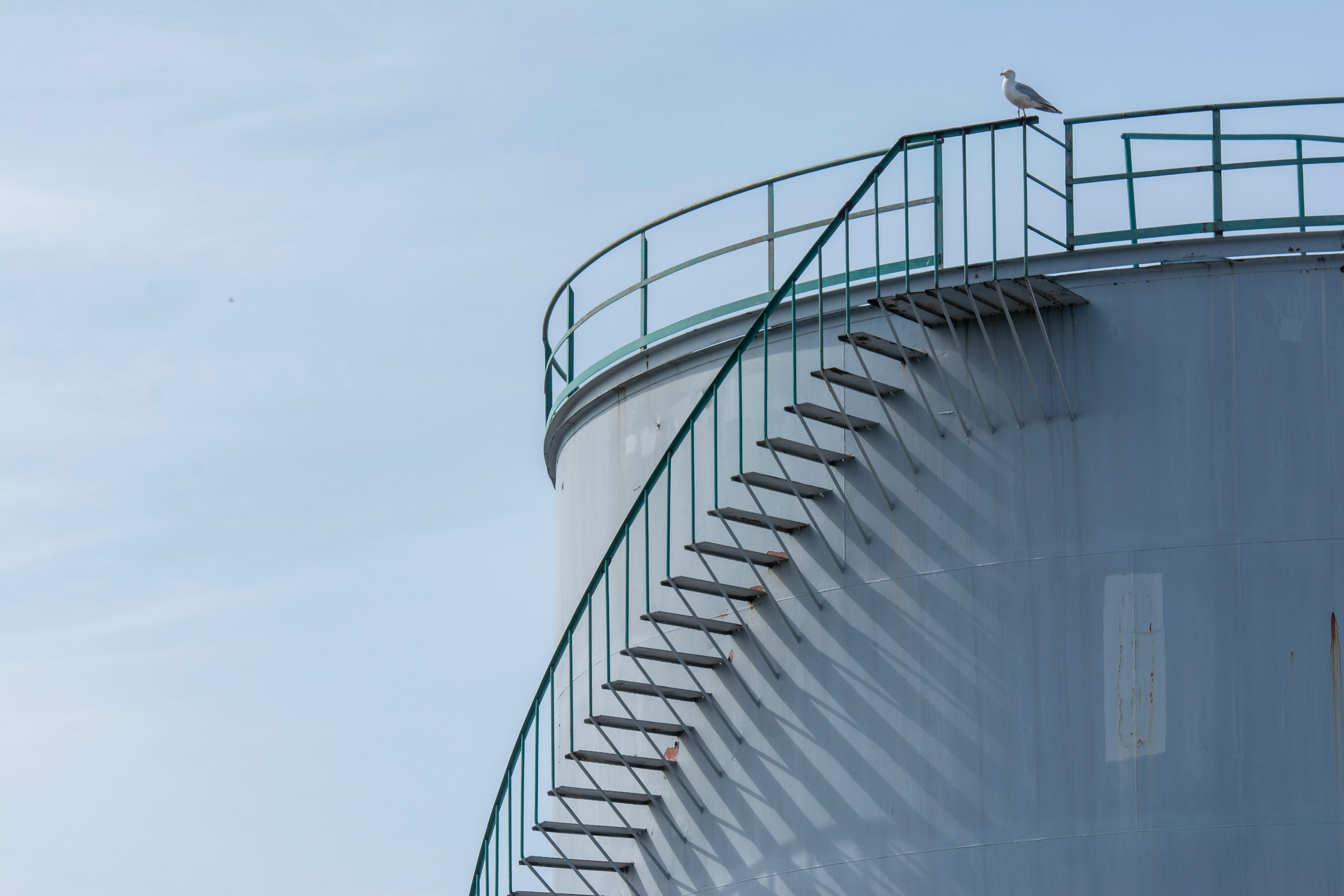 A seagull rests on the stairs of an industrial storage tank, casting shadows.