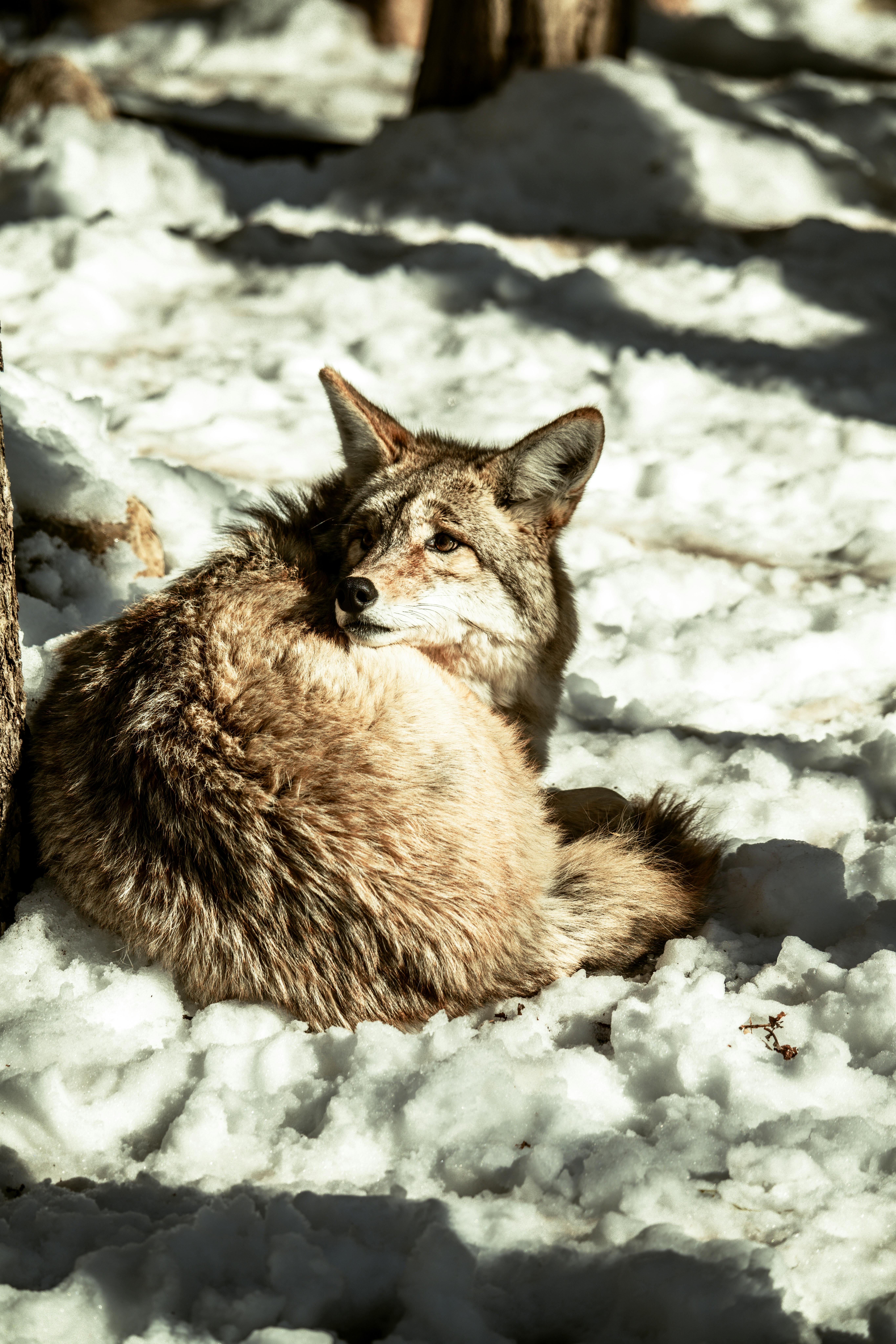 Rabattcode Best Secret nutzen: Schritt-für-Schritt Anleitung für maximale Ersparnis im Jahr 2024