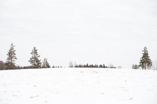A serene winter landscape of snowy fields and trees in Straupe, Cēsis Municipality, Latvia.