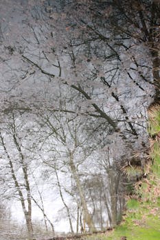 Ada cerita seru nih soal kemungkinan perubahan FDIC kalau Trump jadi presiden lagi. Emang, FDIC itu guardian angel-nya duit di bank, tapi ada rumor mau diubah jadi U.S. Treasury yang pegang asuransi deposito. Beneran bikin gelisah kan? - cerita 1