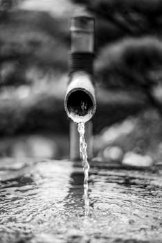 Minimalist black and white photo of a bamboo water spout in a Japanese garden.