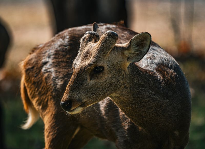 ZOO Děčín