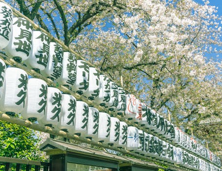 Traditional Japanese paper lanterns hanging amidst blooming cherry blossoms under a clear blue sky.
