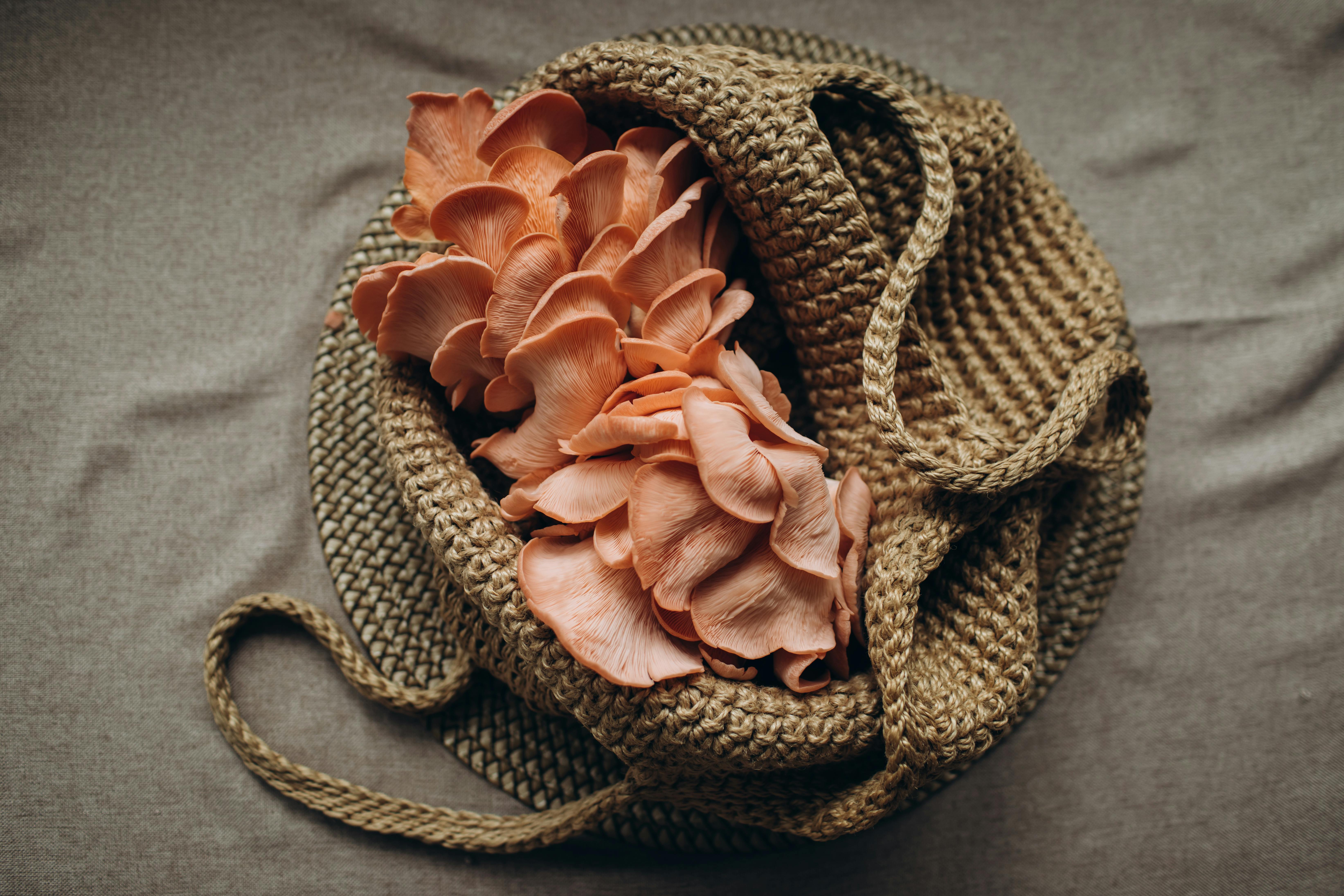 Eco-Friendly Fungi Farming for Sustainable Living