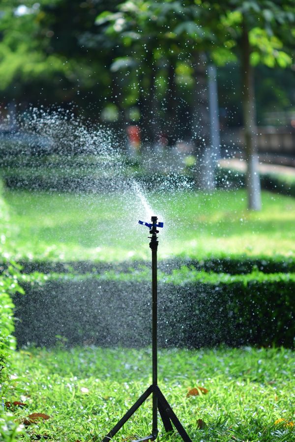Sprinkler spraying water over a lawn