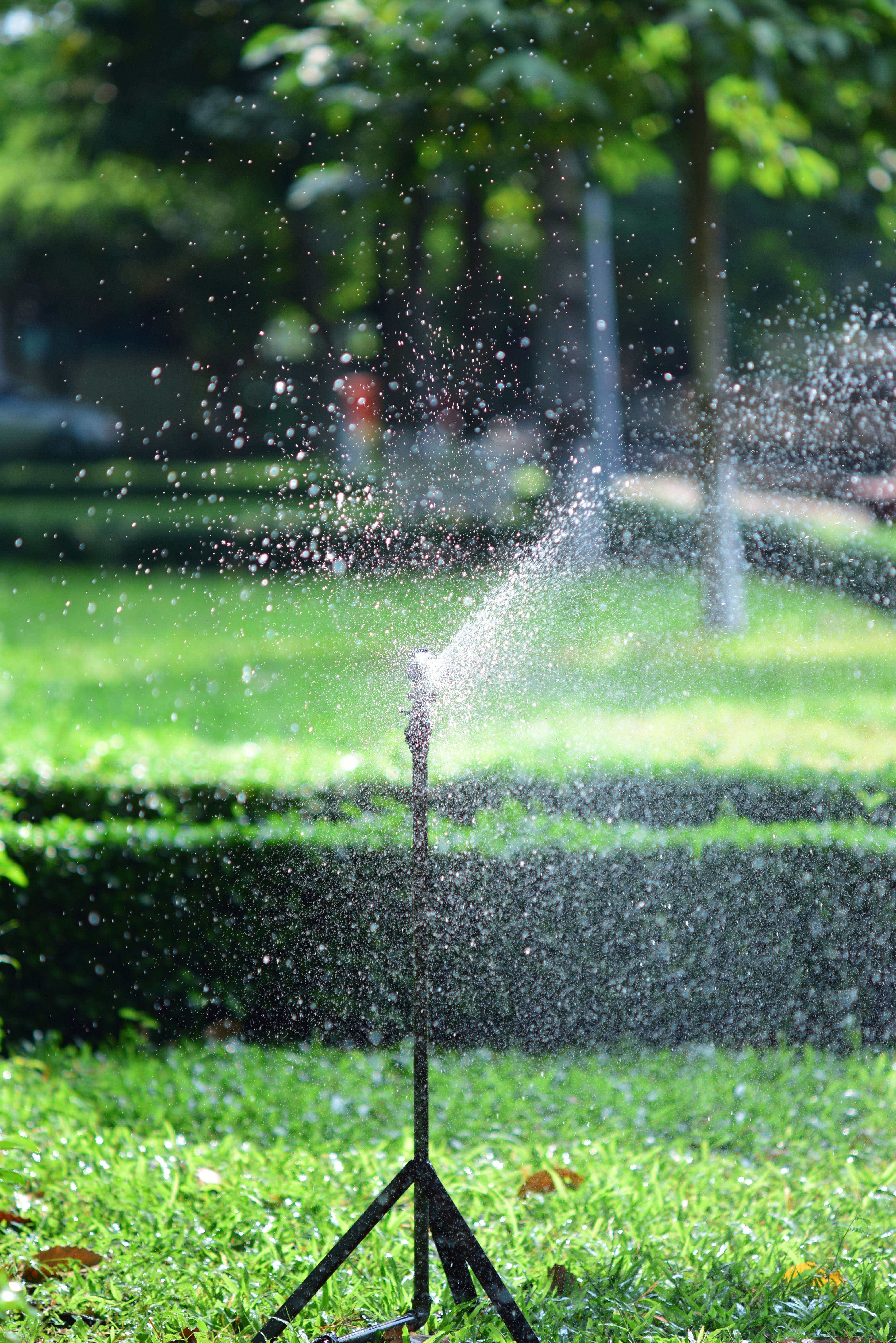 Lawn Sprinkler Installation