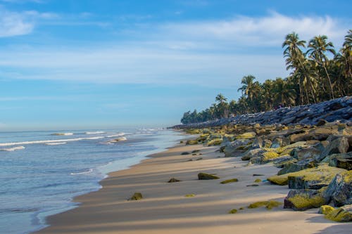 Free stock photo of beach, blue, football