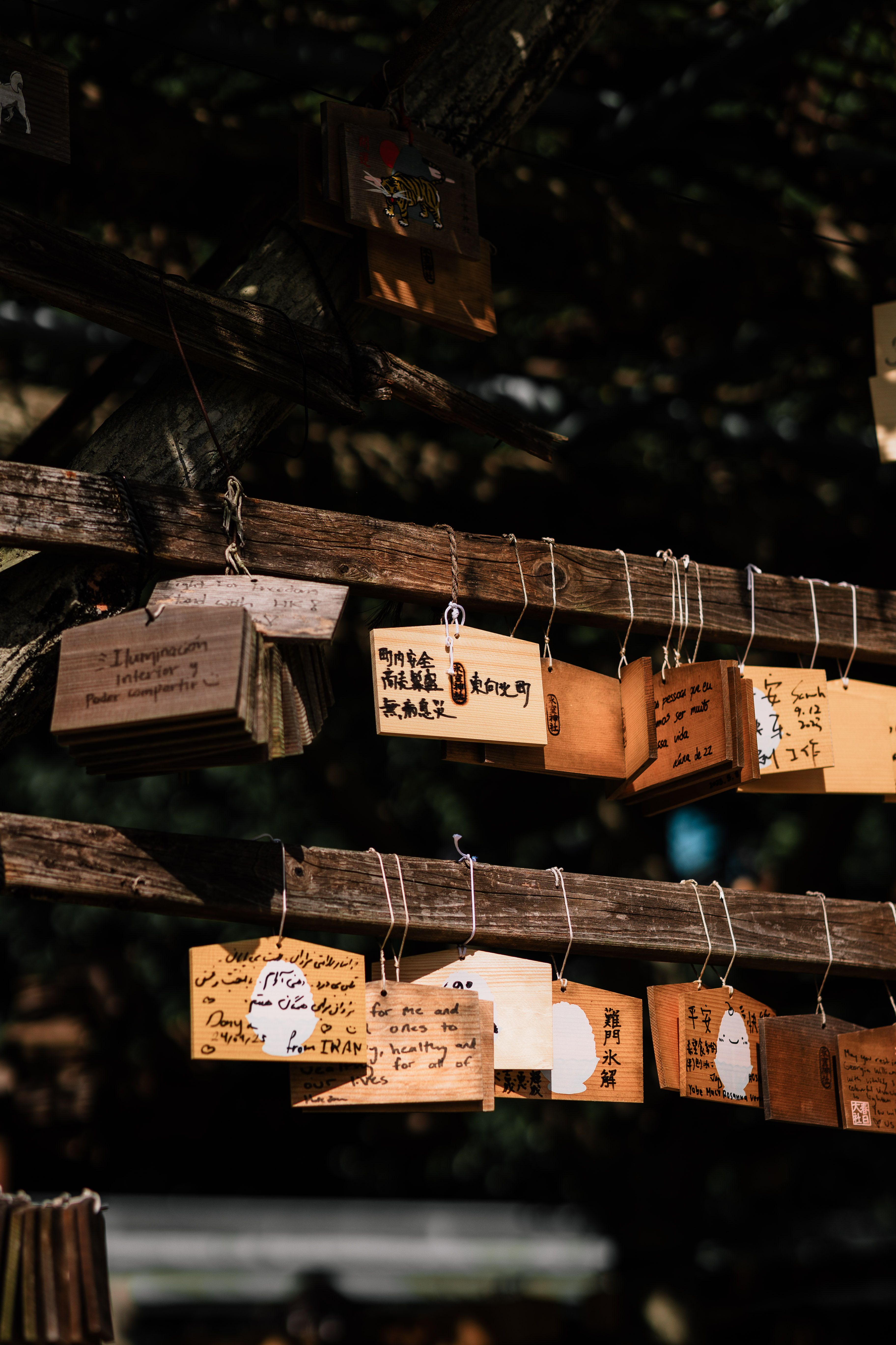 Japanese Ema Plaques Hanging at Shinto Shrine · Free Stock Photo
