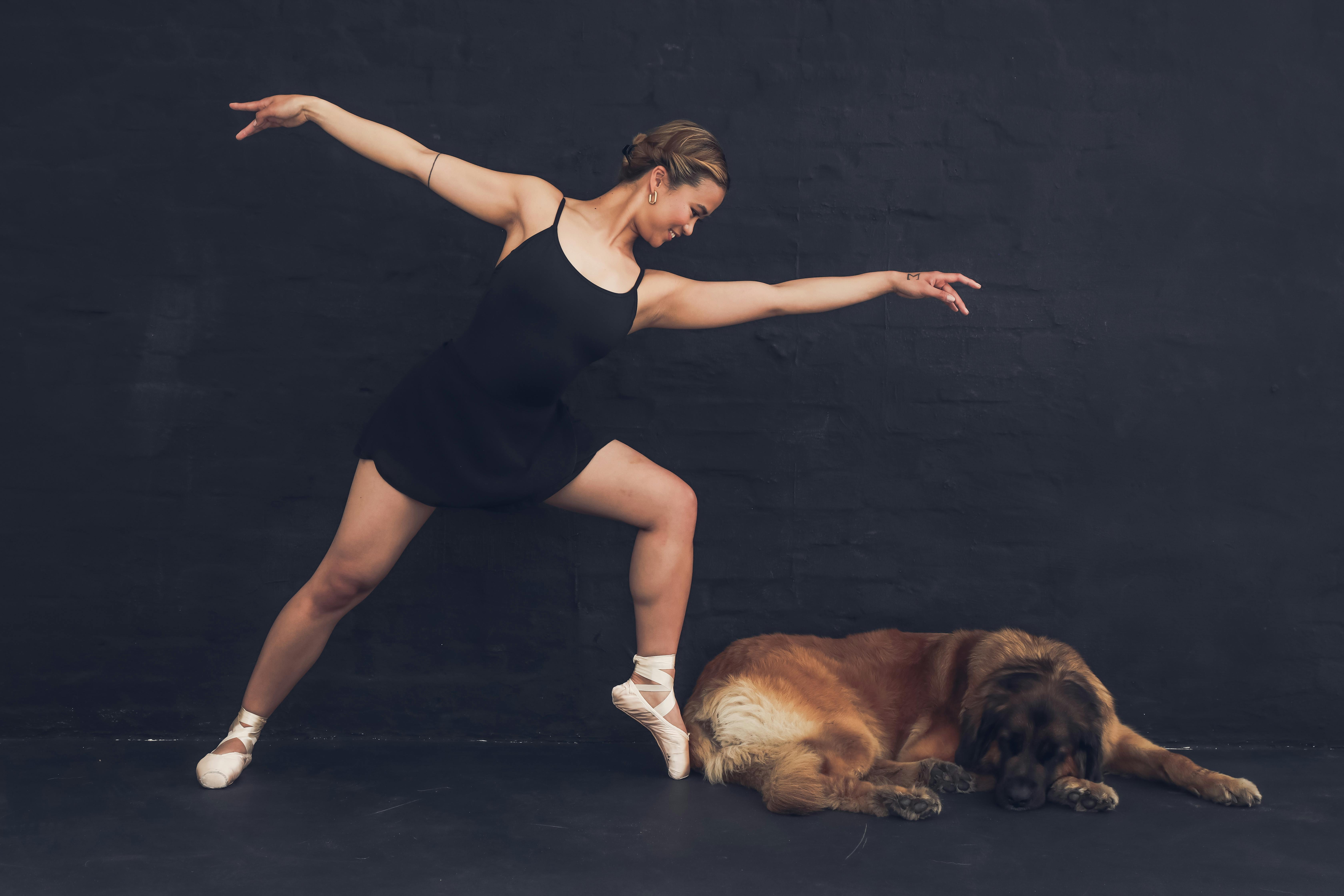 Trainer working with a dog at a sleep away program