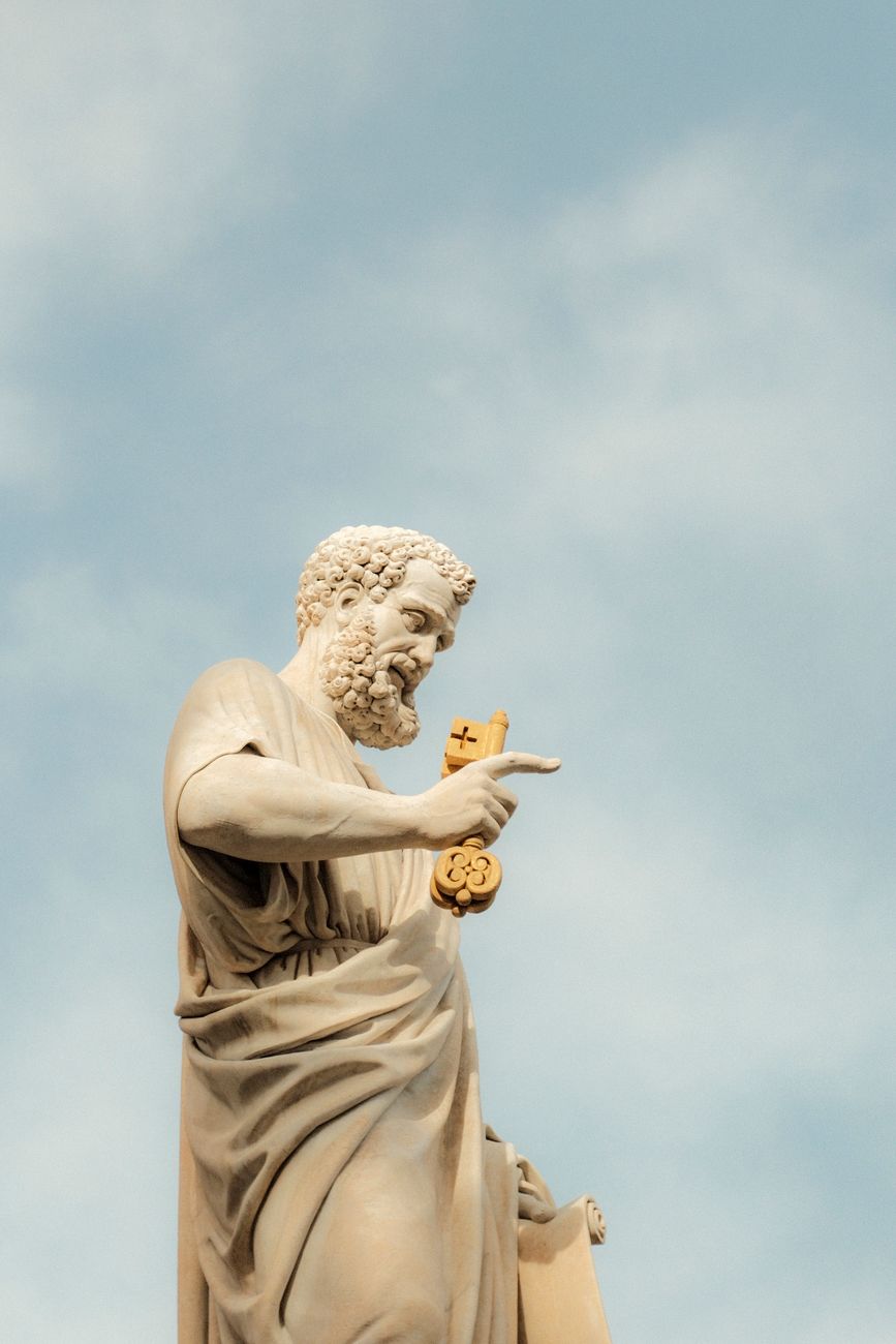pexels photo 31338554