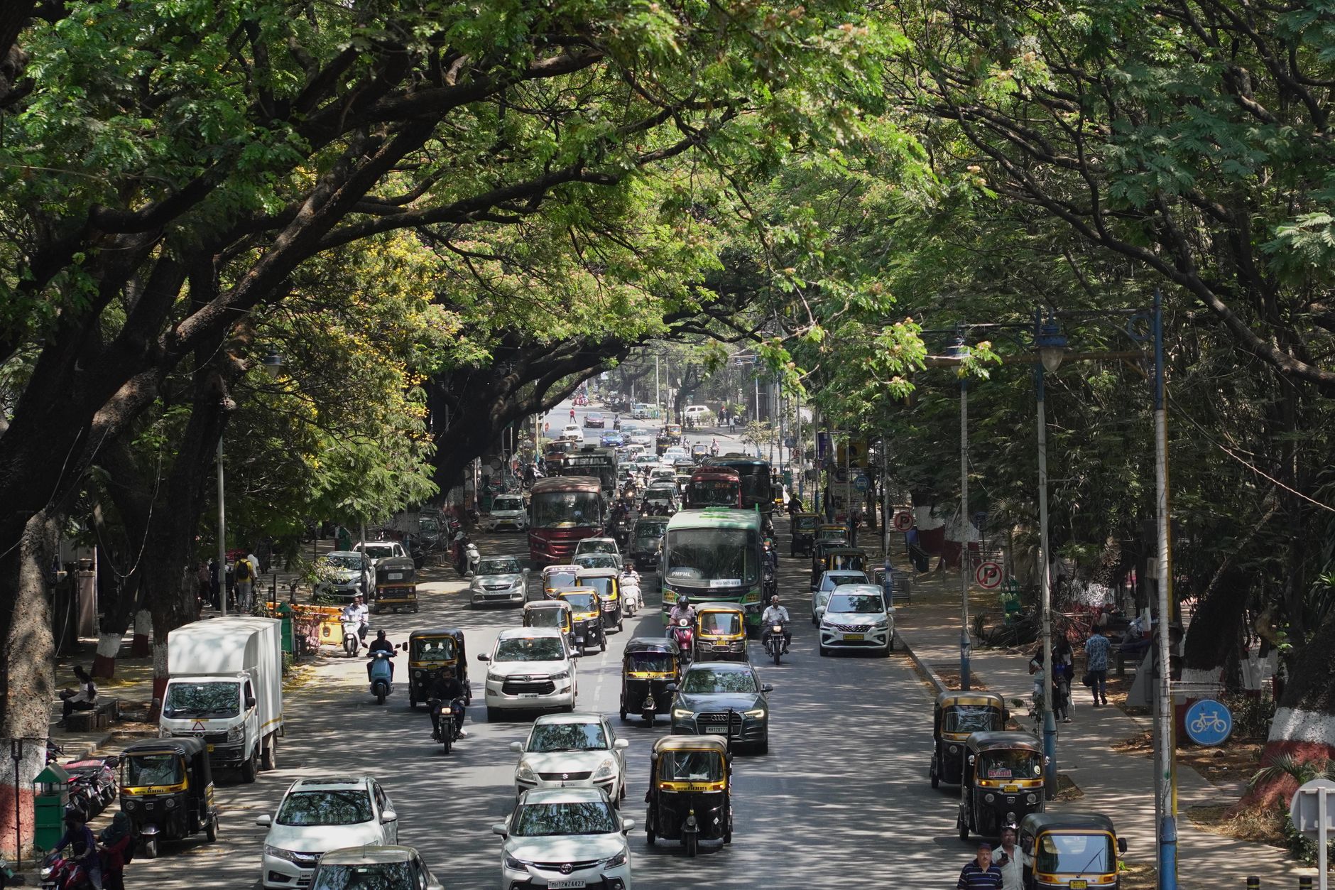 Featured image for the article: Bengaluru Between the Noise