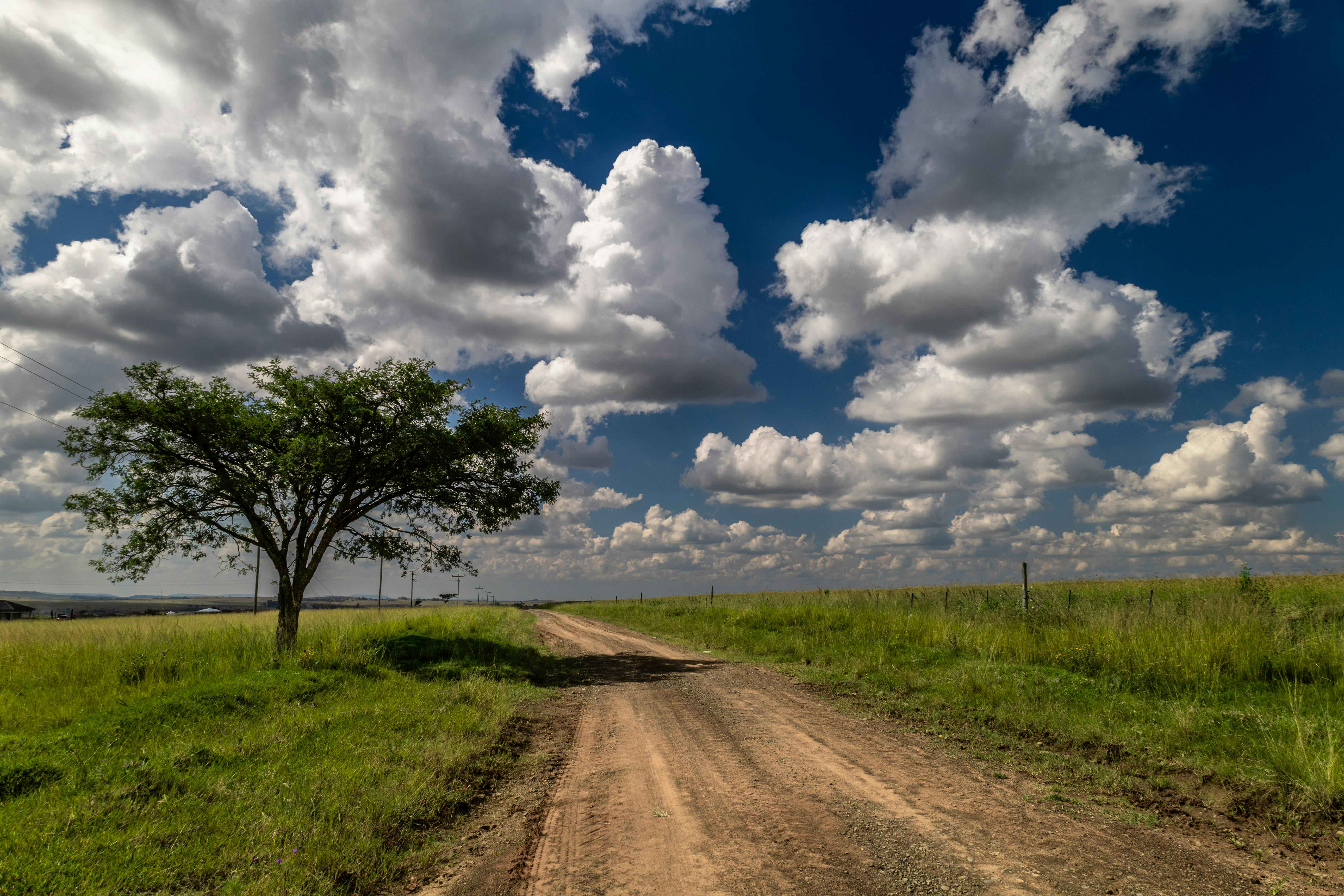 Photo of a Dirt Road Between Green Grass · Free Stock Photo