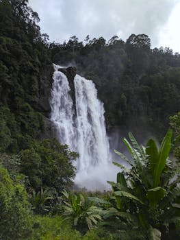 斯里兰卡吉尼加特纳的瀑布令人惊叹，被茂密的丛林所环绕