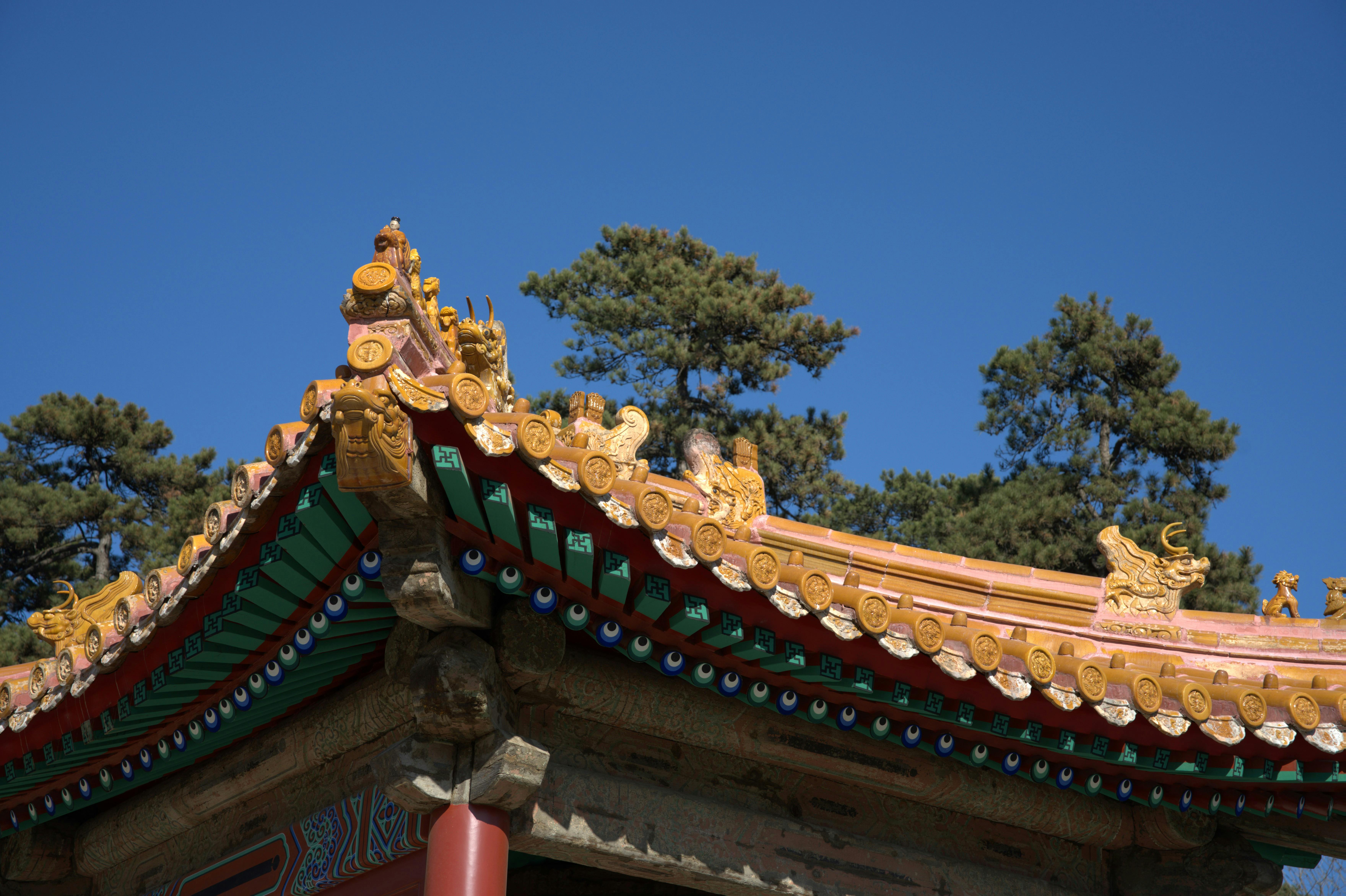 習近平晚間通話川普 強調台灣回歸是戰後國際秩序核心