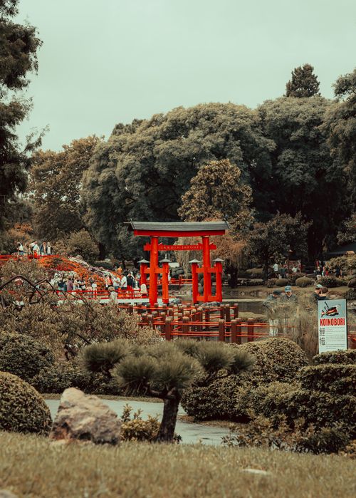 Free Explore the tranquility of a Japanese garden featuring a vibrant red torii gate amidst lush greenery and a peaceful pond. Stock Photo